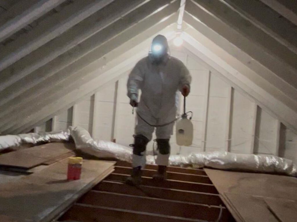 Professional attic disinfection service using antimicrobial treatment before new insulation installation afterinsulation removal in Essex County,NJ