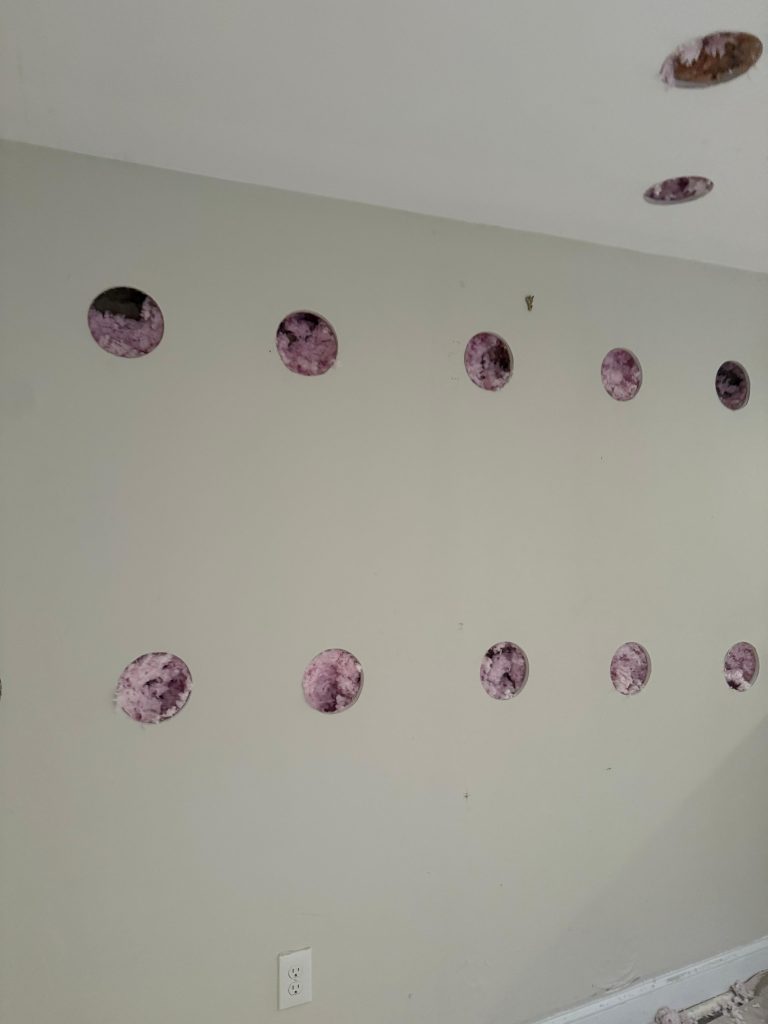 PHOTO-2026-01-19-11-14-00