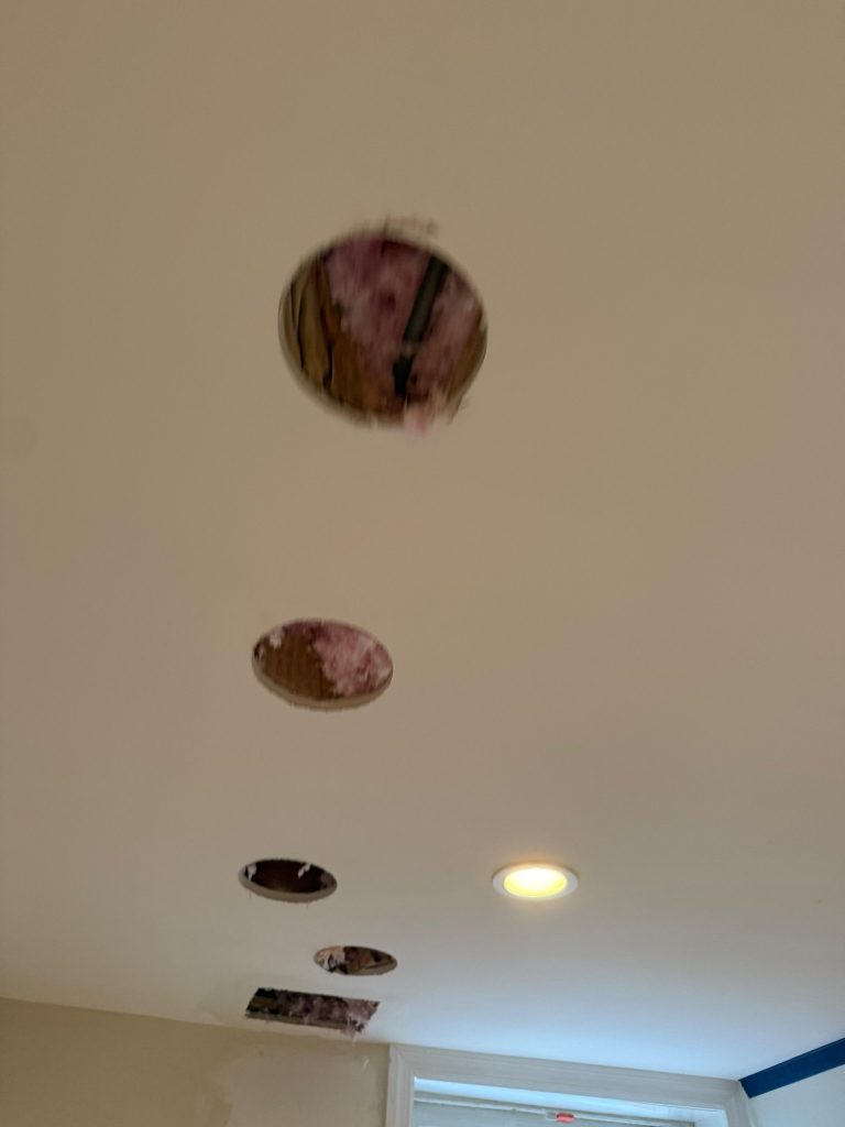 PHOTO-2026-01-19-11-14-00_5