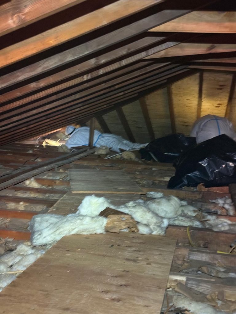 Attic insulation removal service in Essex County, NJ