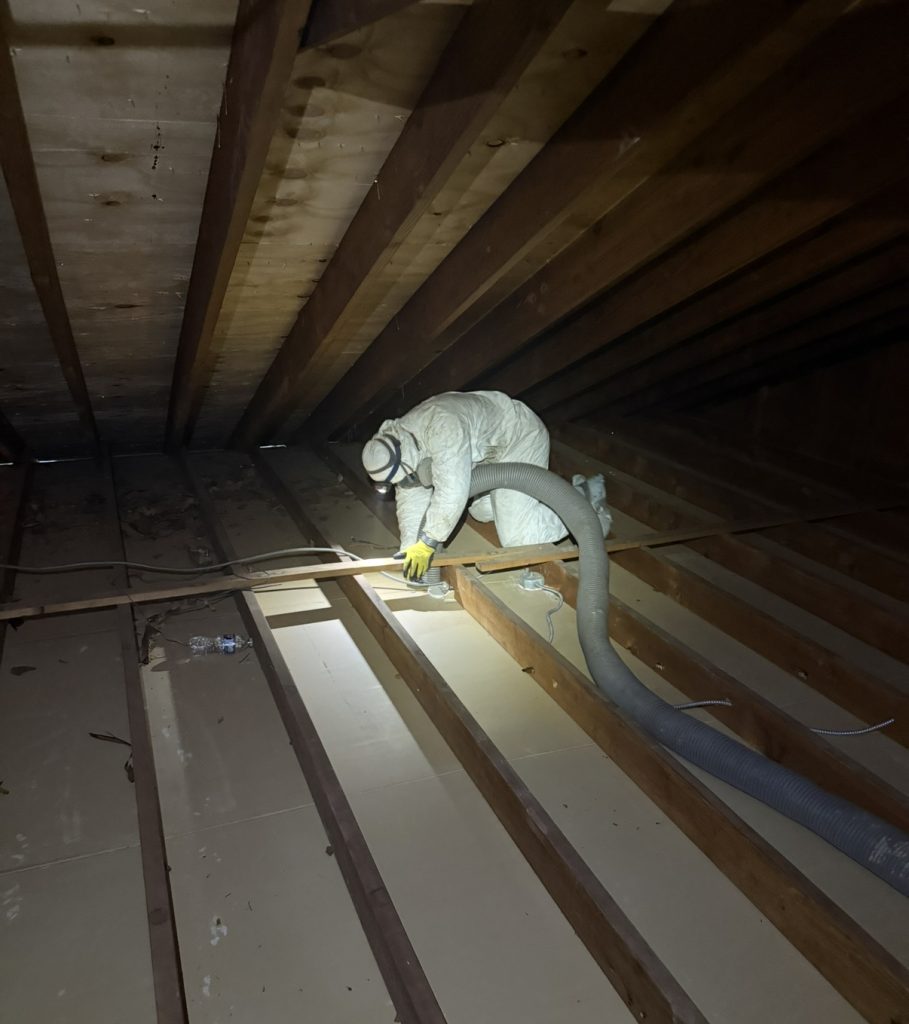 Deep vacuum cleaning after attic insulation removal in Essex County,NJ