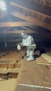 Professional attic disinfection service